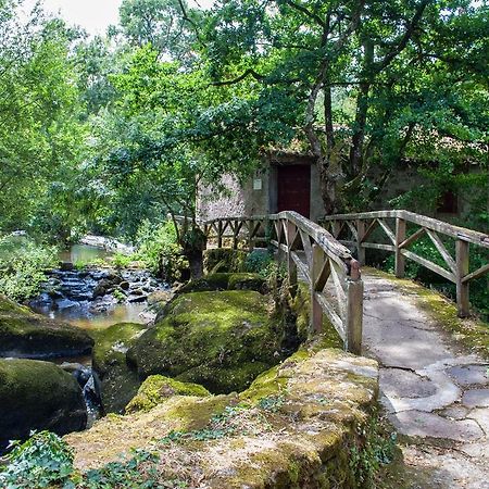 Village De Gites Du Moulin Neuf Getigne Exterior foto